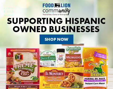 food lion 1513 asheboro nc